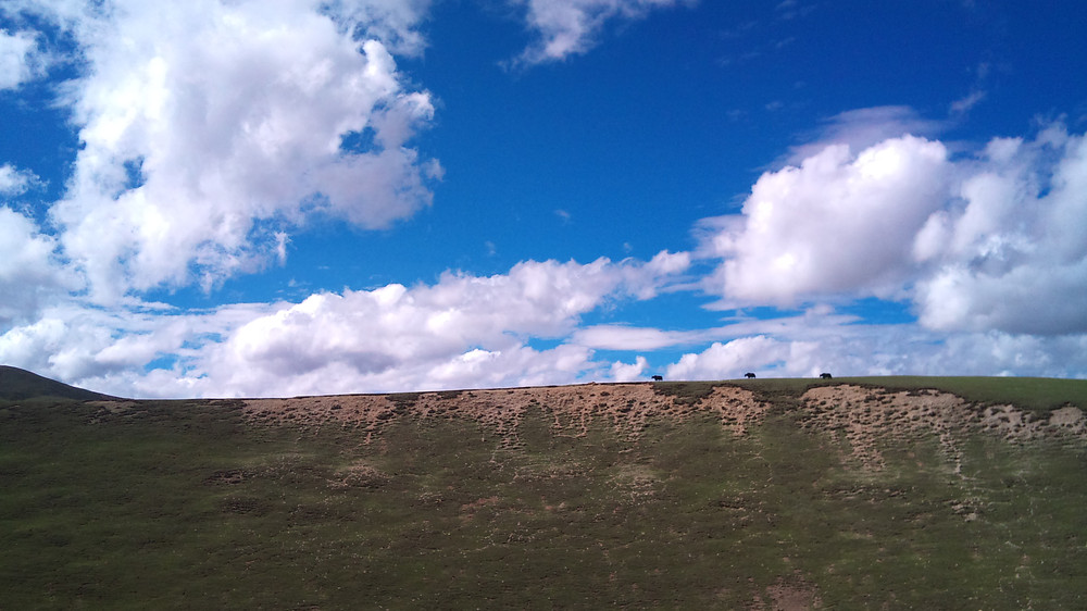 大美西藏——火车、游船、越野全方位自助体验详尽攻略