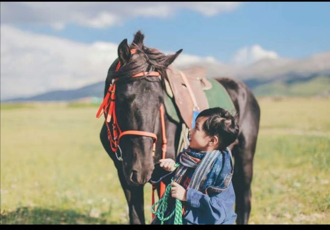 青海及甘肃经典路线