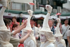 夏日出境游去哪？