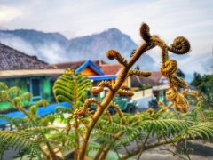 印度尼西亚旅游攻略：与山海为伴，与日月同行 -- 爪哇火山探险 及 巴厘岛海天盛筵。